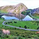 Rurales El Acebo Навес